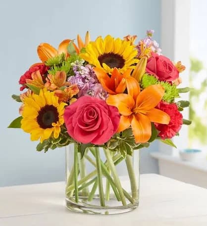 A little Bit of Sunshine